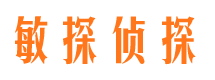 陆河市侦探调查公司